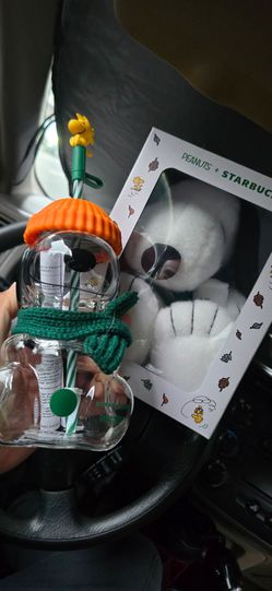 Starbucks Snoopy cup and Plushy