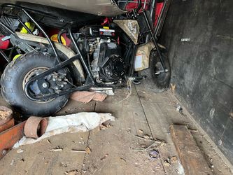 Real tree mini bike