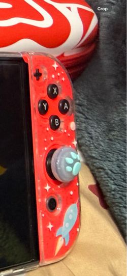 Nintendo switch controller
