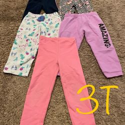 Winter/fall Girl Pants  Clothes Size 3T