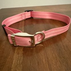 New Dog Collar. 