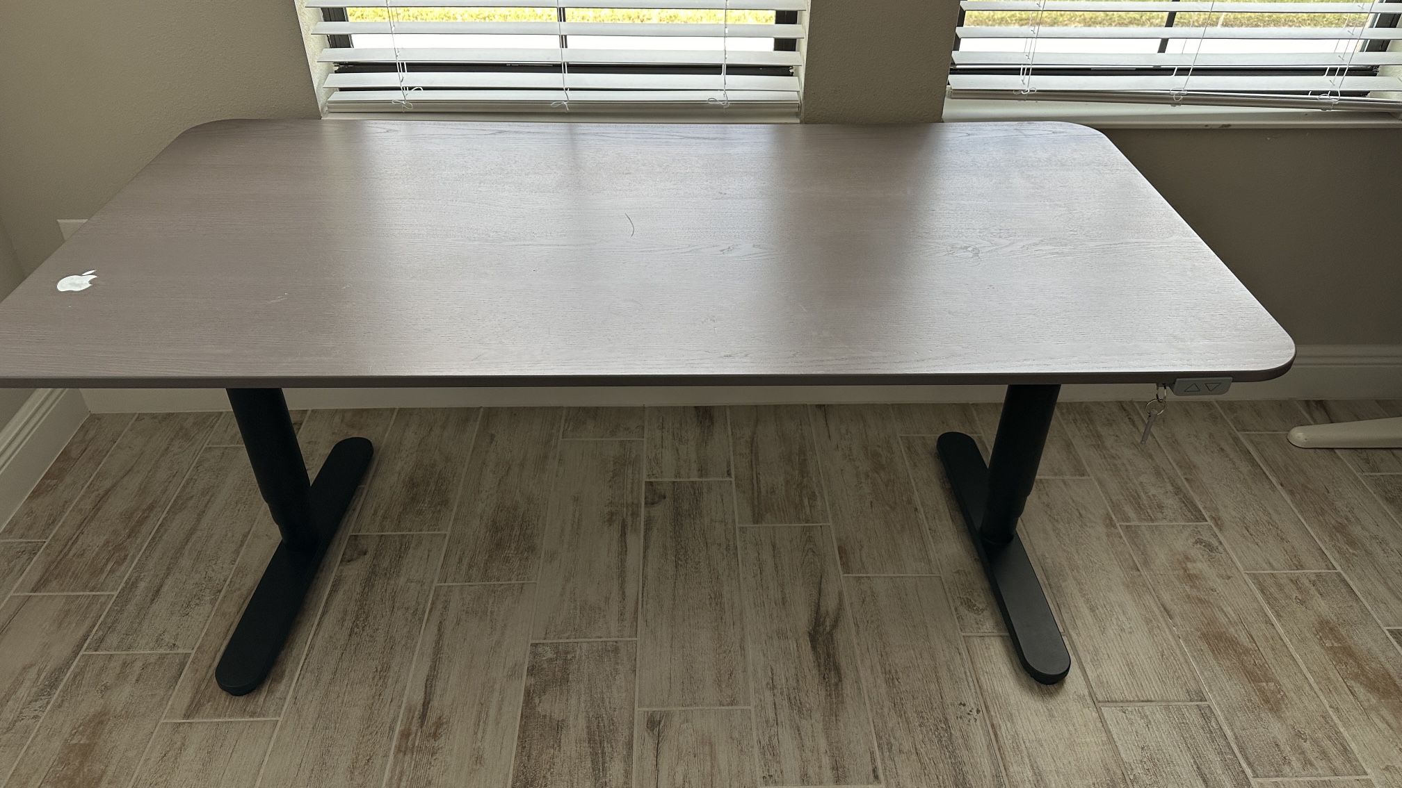 Standing Desk/Computer Desk