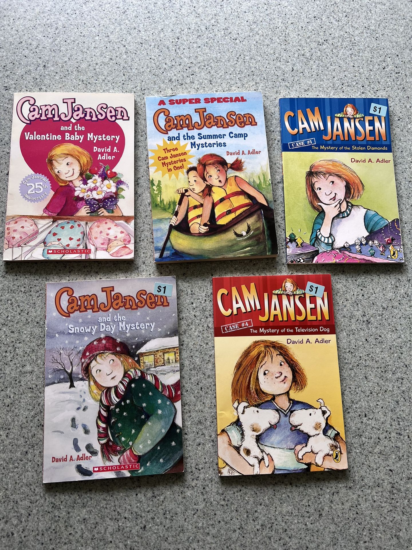 Cam Jansen Books