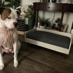 Elevated Dog Bed 