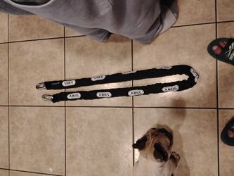 Motorcycle chain