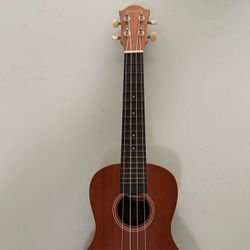 Ukulele 