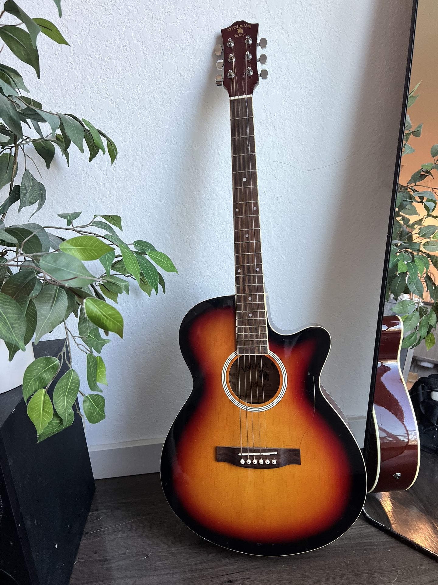 Acoustic/Electric Guitar