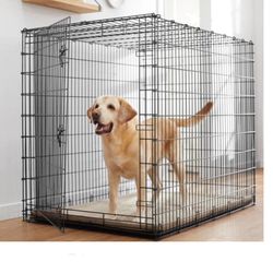 Dog kennel 