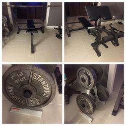 Triumph weight bench shop