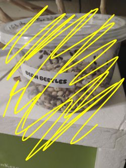 New Cups