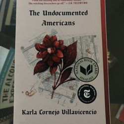 The Undocumented Americans