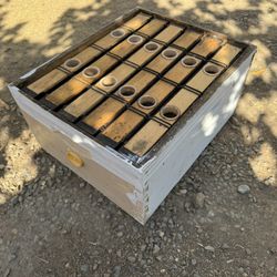 bee feeder With The Box