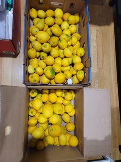 FRESH  REALLY  GOOD  FOR ALL TOGETHER  $12