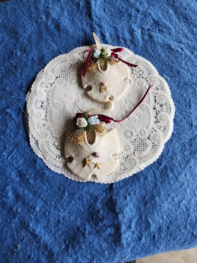 Sand Dollars 