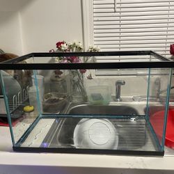 10 Gallon Fish Tank 