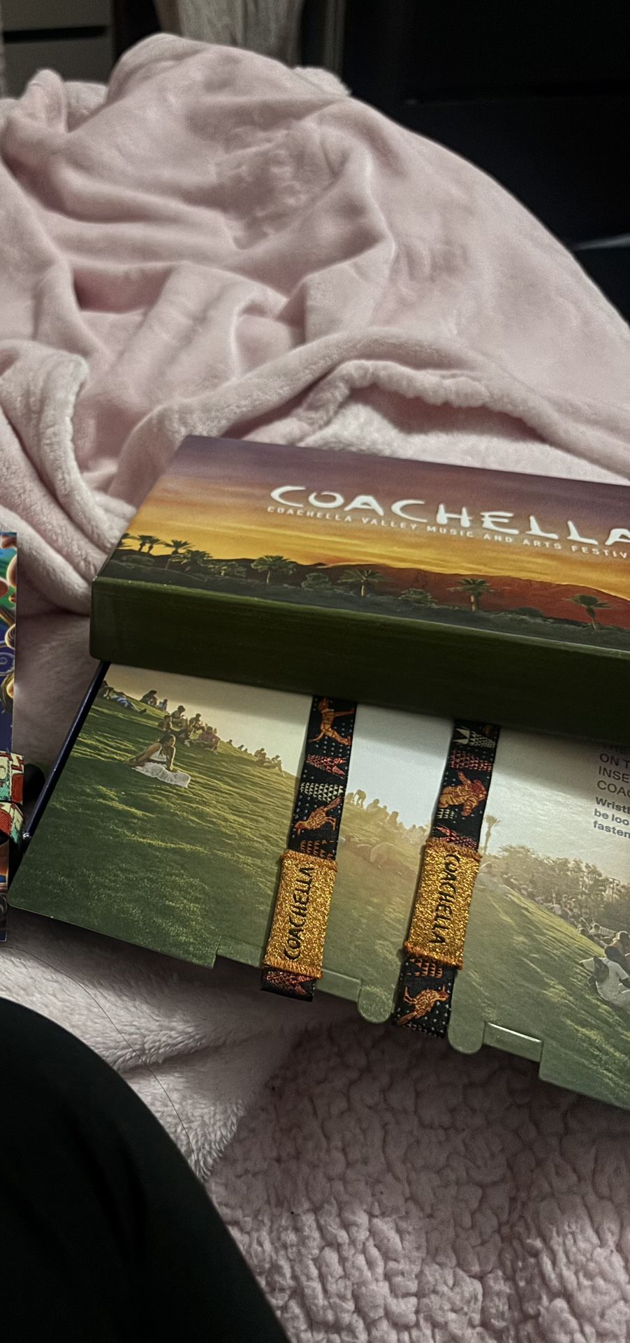 coachella weekend 2 sunday ticket