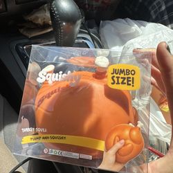Turkey Squishy 