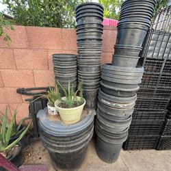 Endless Amount Of Plant Containers