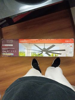 Fan