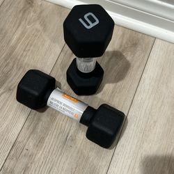 Two 6 Pound Weights /dumbbell