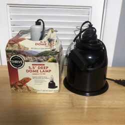 Two Dome Lamps 