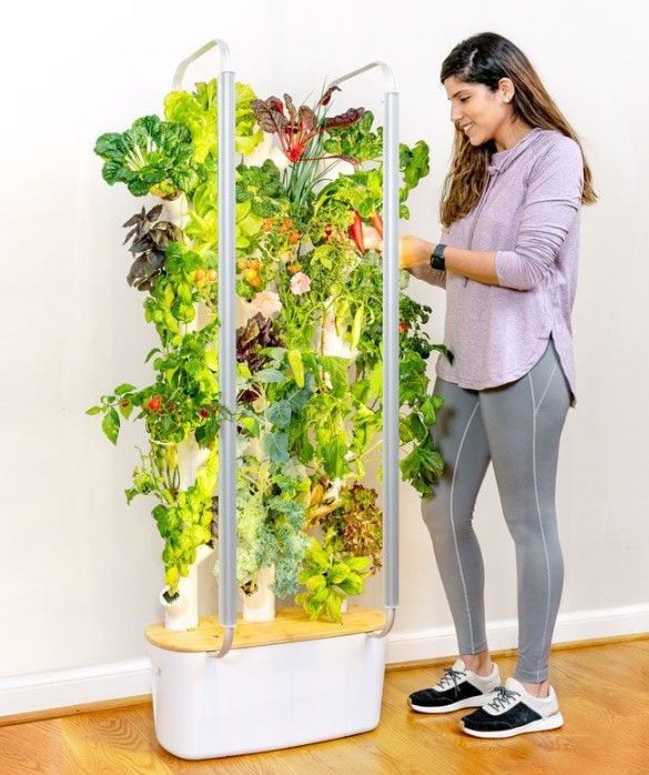 Gardyn 2.0 Hydroponic Garden