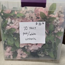 Pink and white Wysteria on stems