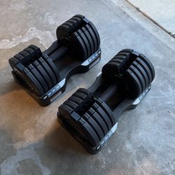 Pro-form 50 lb adjustable dumbbells with trays