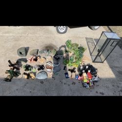 Reptile Supplies 