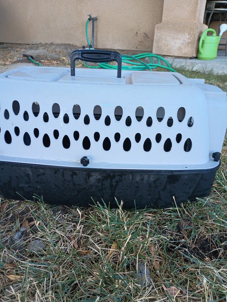 Cat Kennel