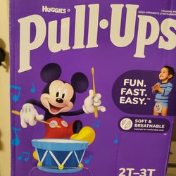 Huggies Pull Ups 2t-3t Diapers $25 Each Box
