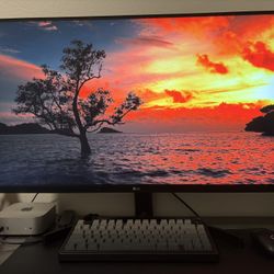 LG 32” QHD / 1440p IPS monitor 