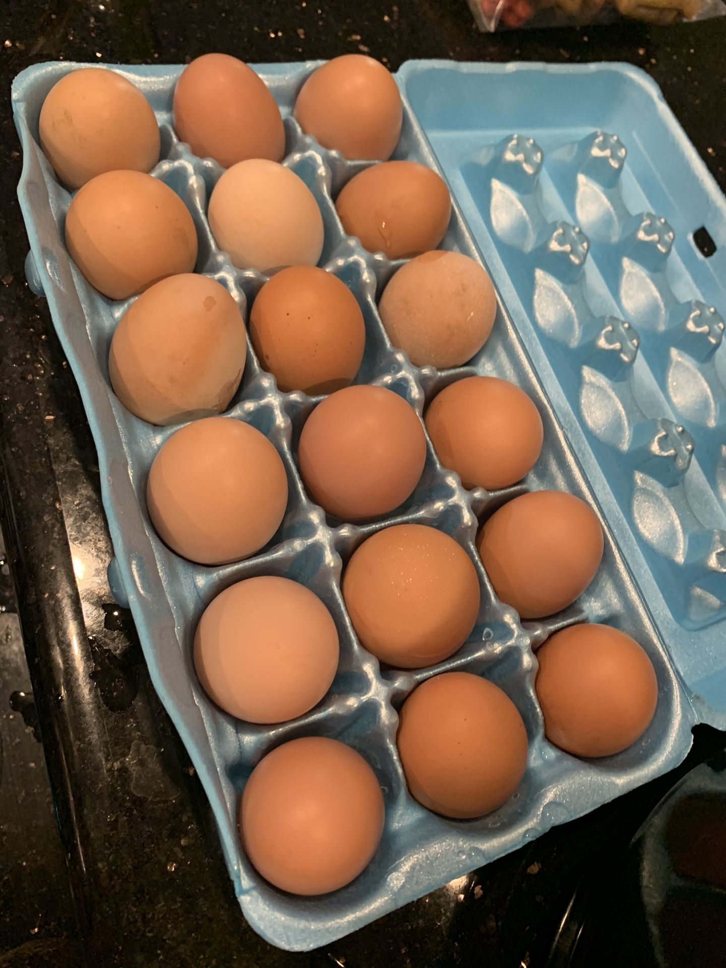 Yard Eggs For Sale