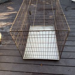 Dog kennel 