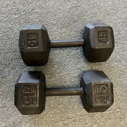 45 Lbs Dumbbells 