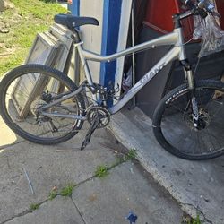 Giant Trans 2 Size Xl