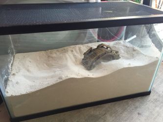 Glass Aquarium / Reptile Cage / Hermit Crab