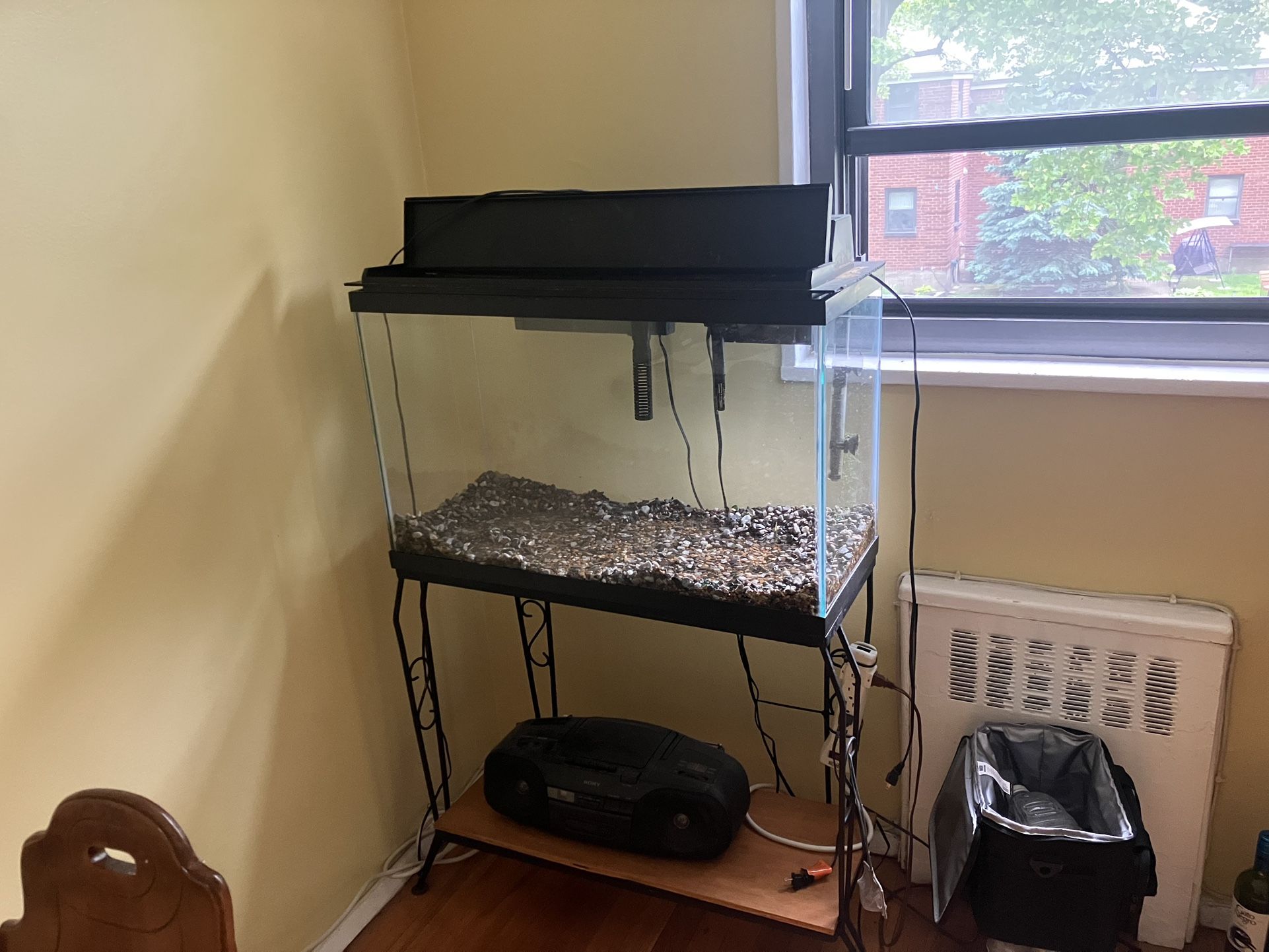 29 Gallon Tank