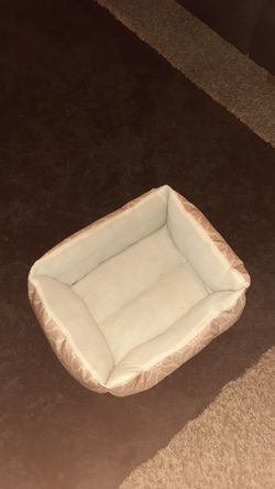 Kitty or puppy bed