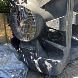Fan