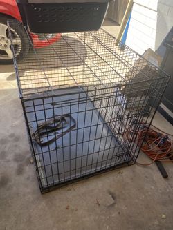 Pet Carrier And Cage