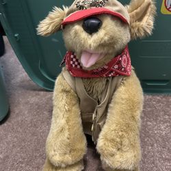 Build-a-Bear Camp Dog w/ Outfit