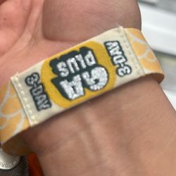 Outside Lands GA+ Wristband SUNDAY ONLY 