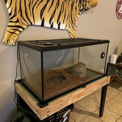 Terrarium For Sale - Includes Water Bowl, Structure, And Heat Lamp Fixture