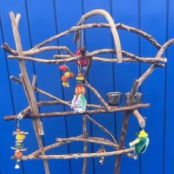 African Grey / Amazon Parrot Perch Tree… The Curved Top Model … Lots Of Birdee Fun!! 👍🏼❤️