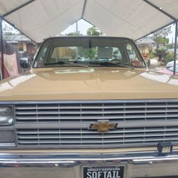 83 Chevy P,/u