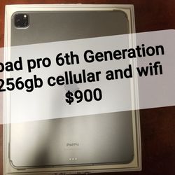 iPad Pro 6th Generation 256gb Cellular and Wifi 