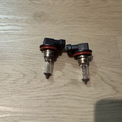 FREE! OSRAM H11 55W Car Light FREE!