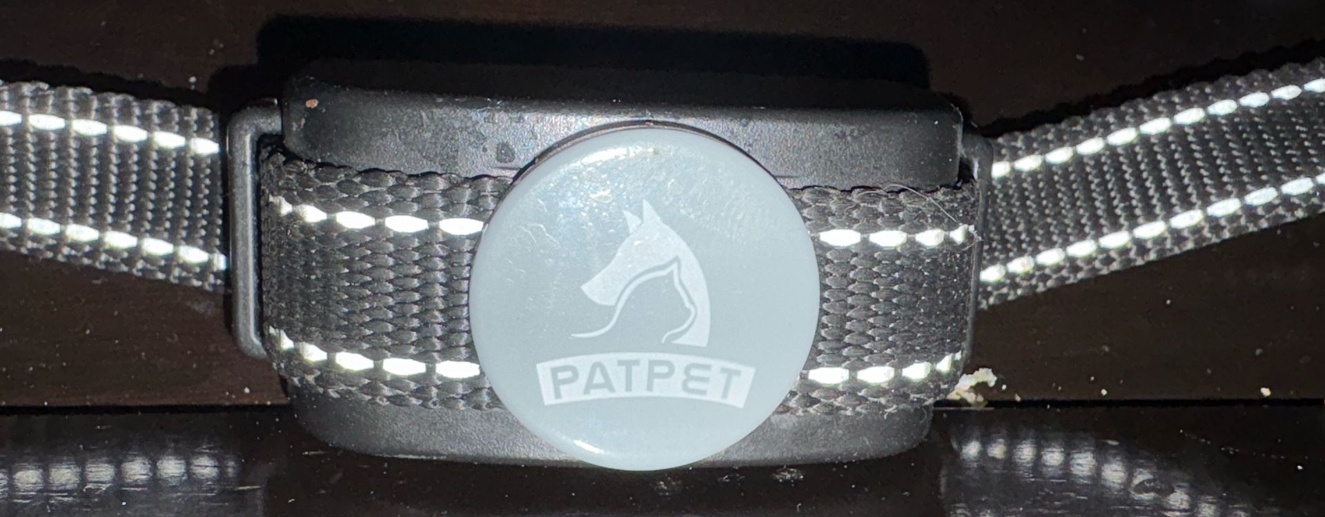 Dog Training Collar With Remote