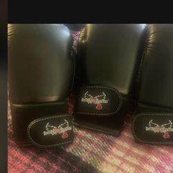 Kick Boxing Gloves  12 Oz